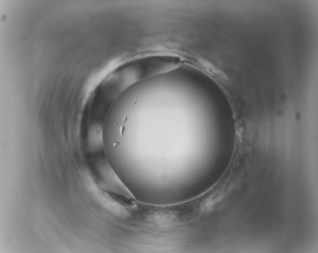 X0000056320248200509092310