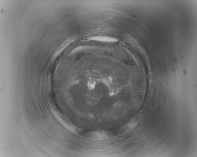 X0000056320250200509092310