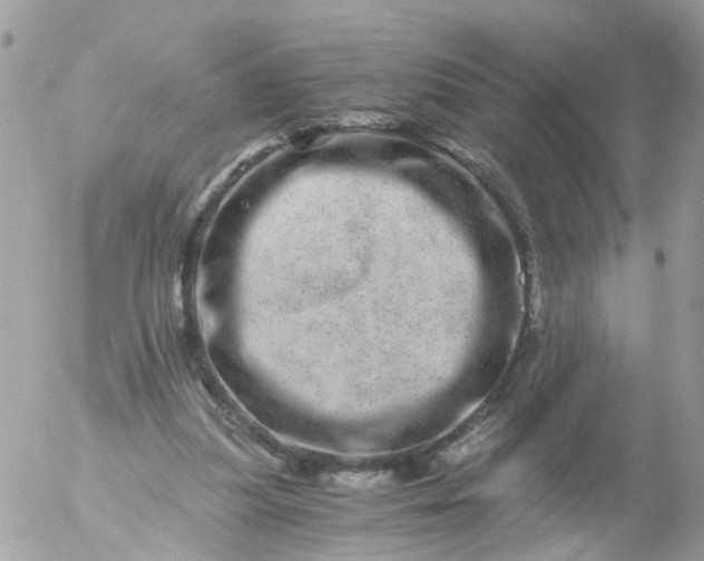 X0000056320251200509092310