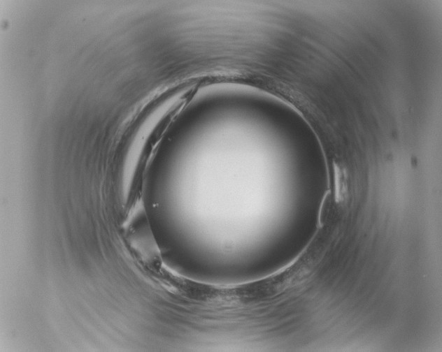 X0000056320252200509092310