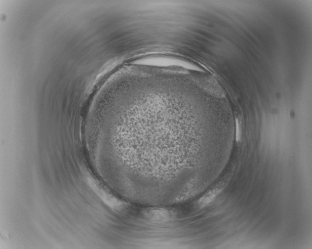 X0000056320253200509092310