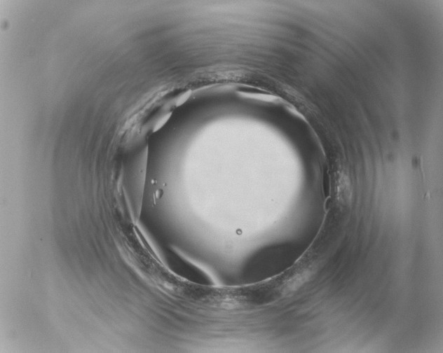 X0000056320254200509092310