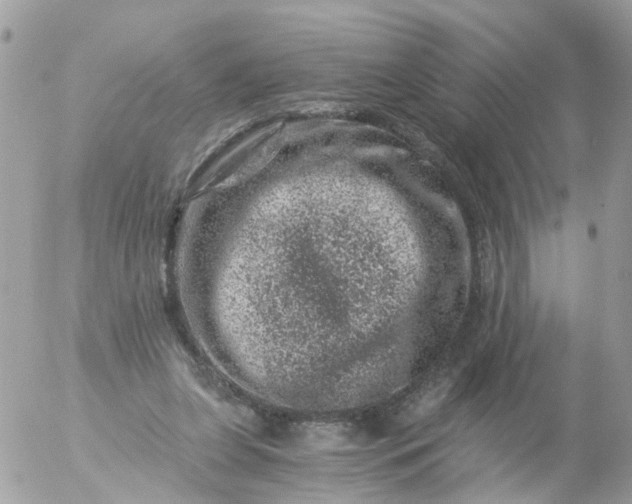 X0000056320255200509092310