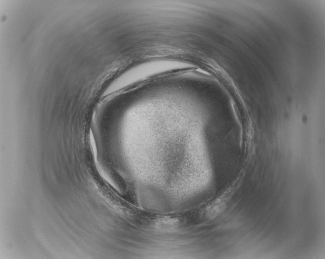 X0000056320257200509092310