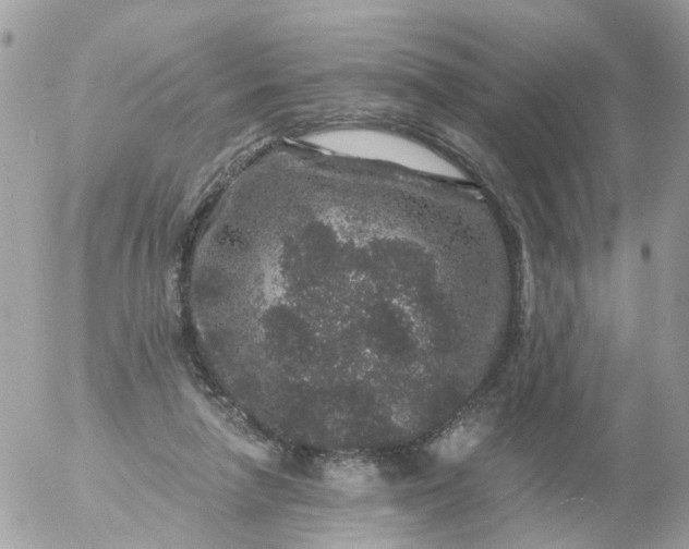 X0000056320258200509092310