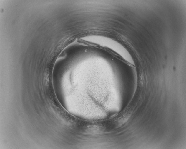 X0000056320259200509092310