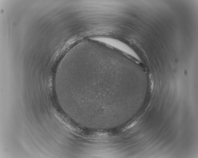 X0000056320260200509092310