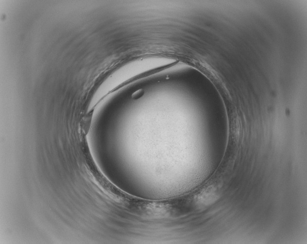 X0000056320261200509092310