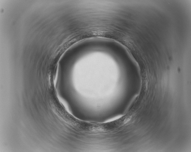 X0000056320262200509092310