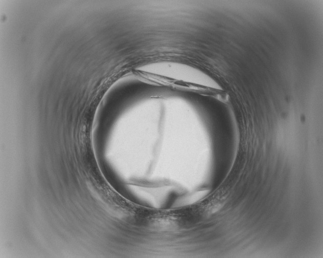 X0000056320263200509092310