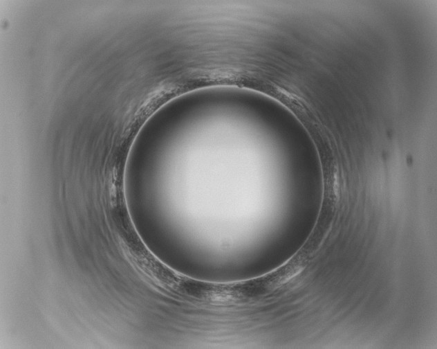 X0000056320264200509092310