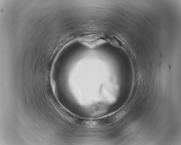 X0000056320265200509092310