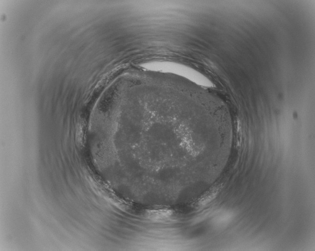 X0000056320266200509092310