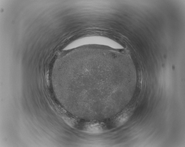 X0000056320267200509092310