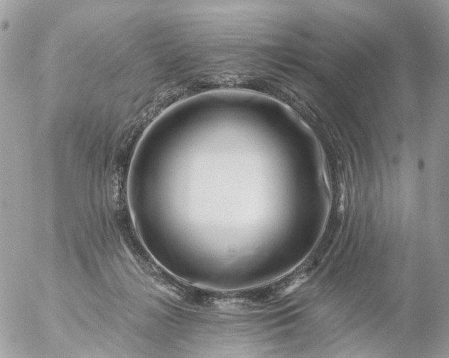 X0000056320268200509092310