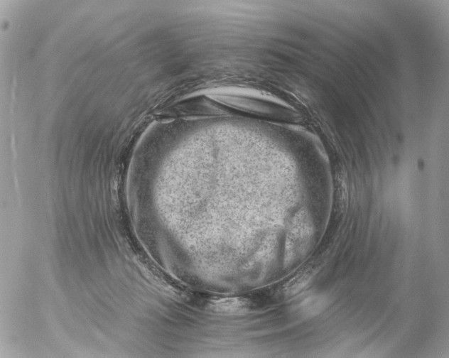 X0000056320269200509092310