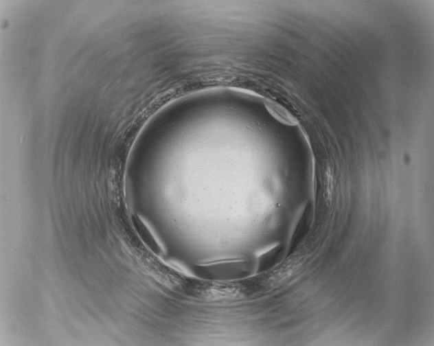 X0000056320270200509092310