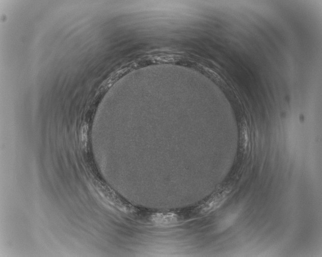 X0000056320271200509092310