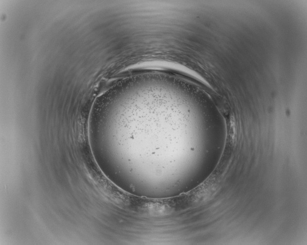 X0000056320272200509092310