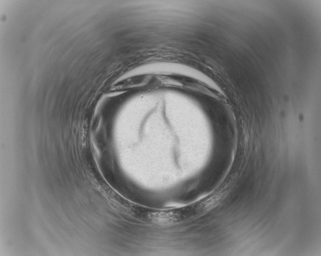 X0000056320273200509092310