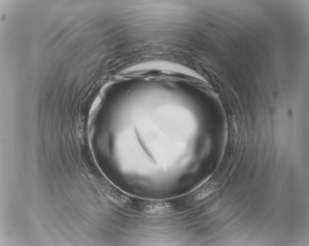 X0000056320274200509092310