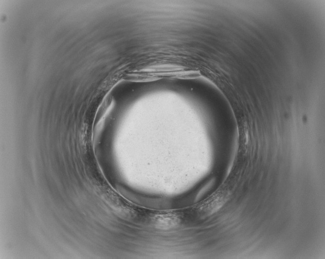 X0000056320275200509092310