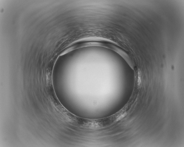 X0000056320276200509092310