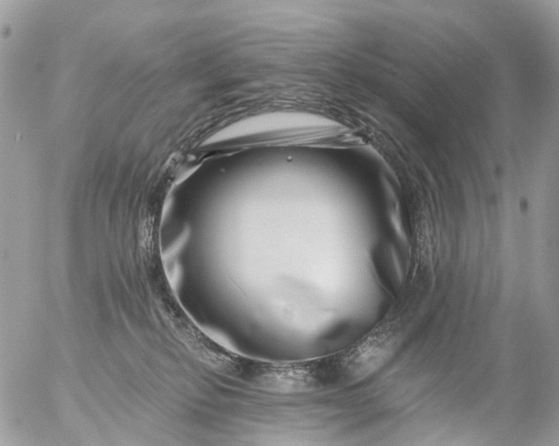 X0000056320278200509092310