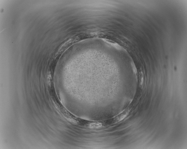 X0000056320279200509092310