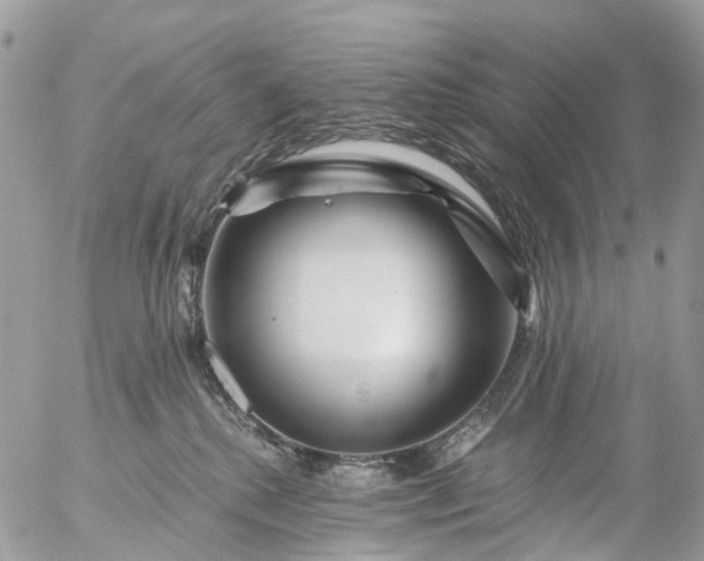 X0000056320280200509092310