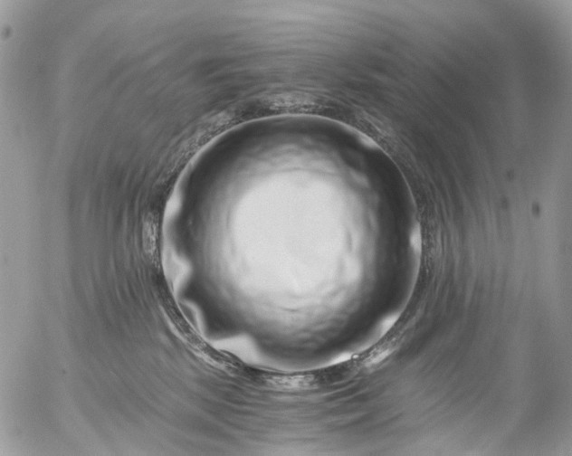 X0000056320281200509092310