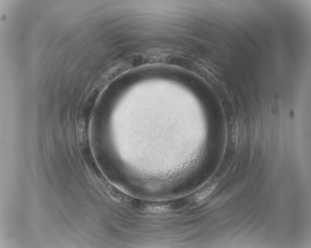 X0000056320283200509092310