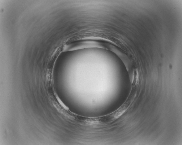 X0000056320284200509092310