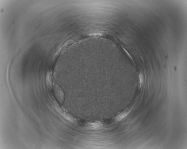 X0000056320286200509092310