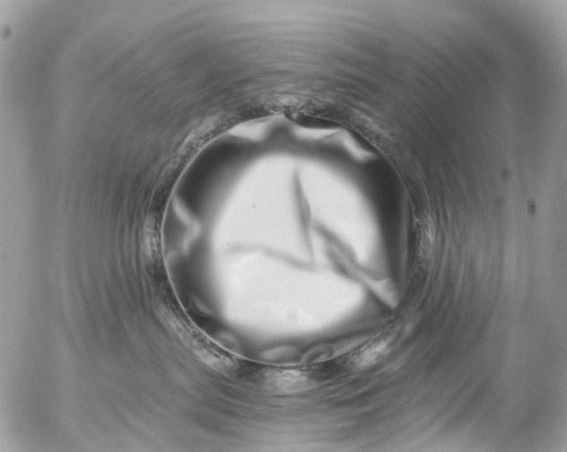 X0000056320287200509092310