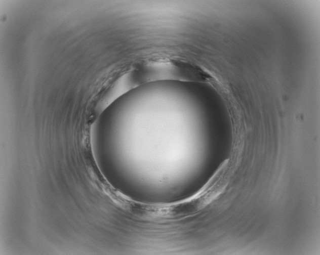 X0000056320288200509092310