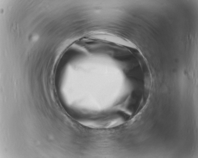 X0000056320289200509092309