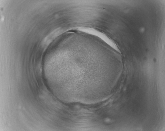 X0000056320290200509092309