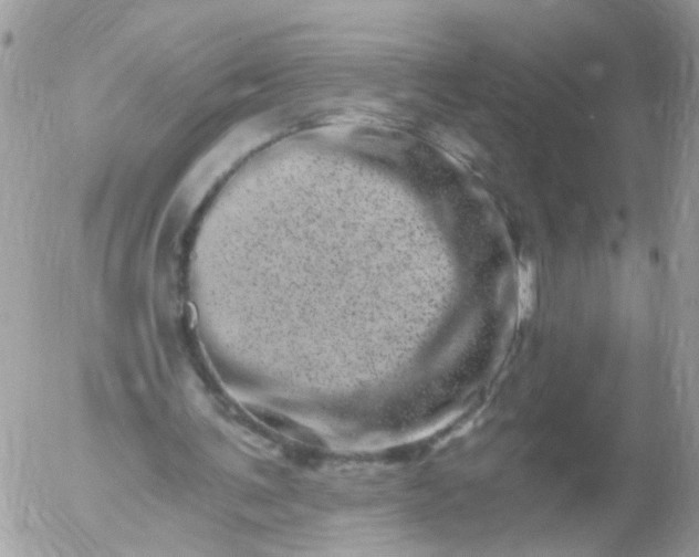 X0000056320291200509092309