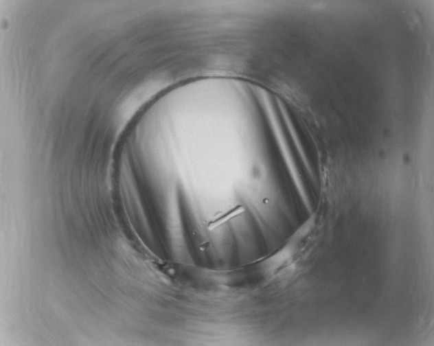 X0000056320292200509092309