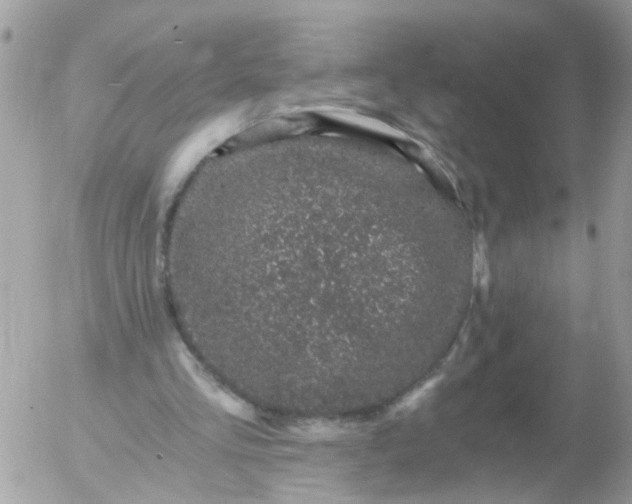 X0000056320293200509092309