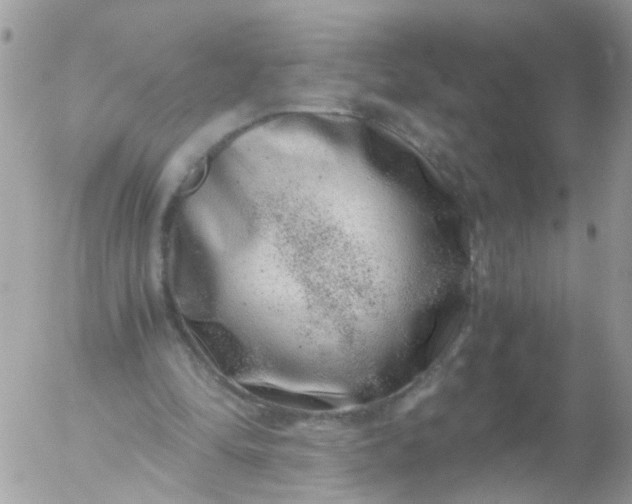 X0000056320294200509092309