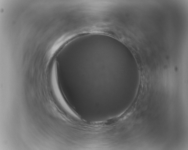 X0000056320295200509092309