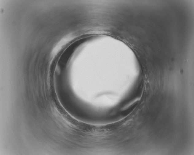 X0000056320296200509092309