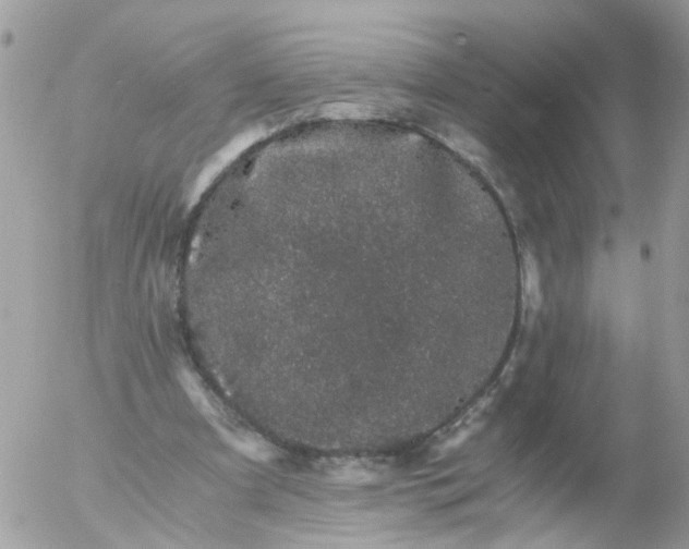 X0000056320297200509092309