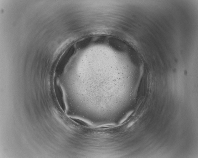 X0000056320298200509092309