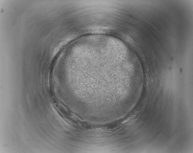 X0000056320299200509092309