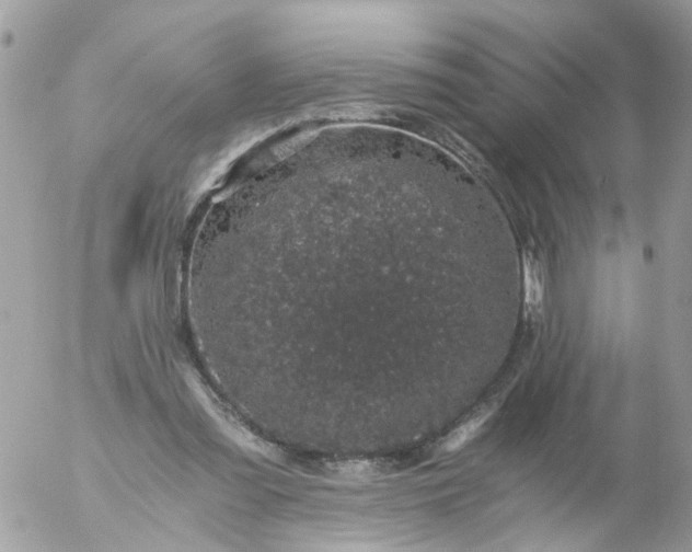 X0000056320301200509092309