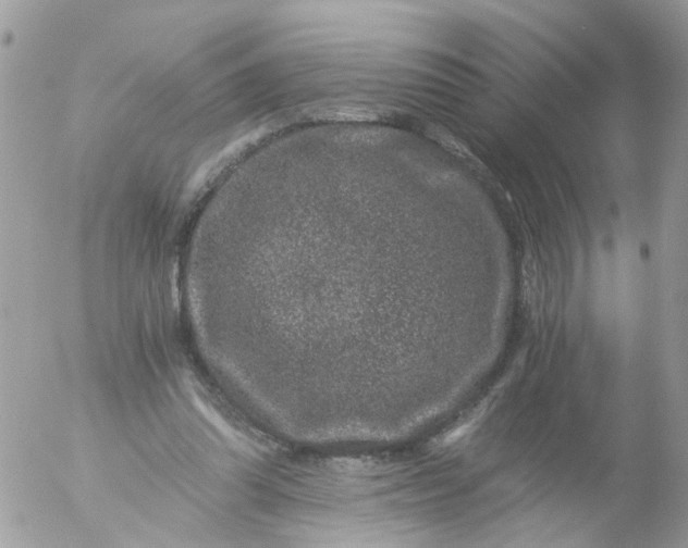 X0000056320302200509092309