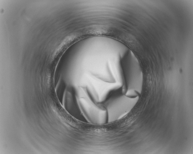 X0000056320304200509092309